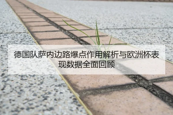 德国队萨内边路爆点作用解析与欧洲杯表现数据全面回顾